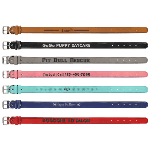 Dog Collar
