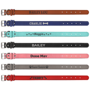 Dog Collar