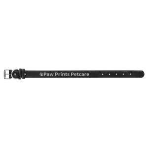 Dog Collar