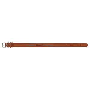 Dog Collar