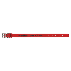 Dog Collar