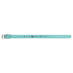 Dog Collar