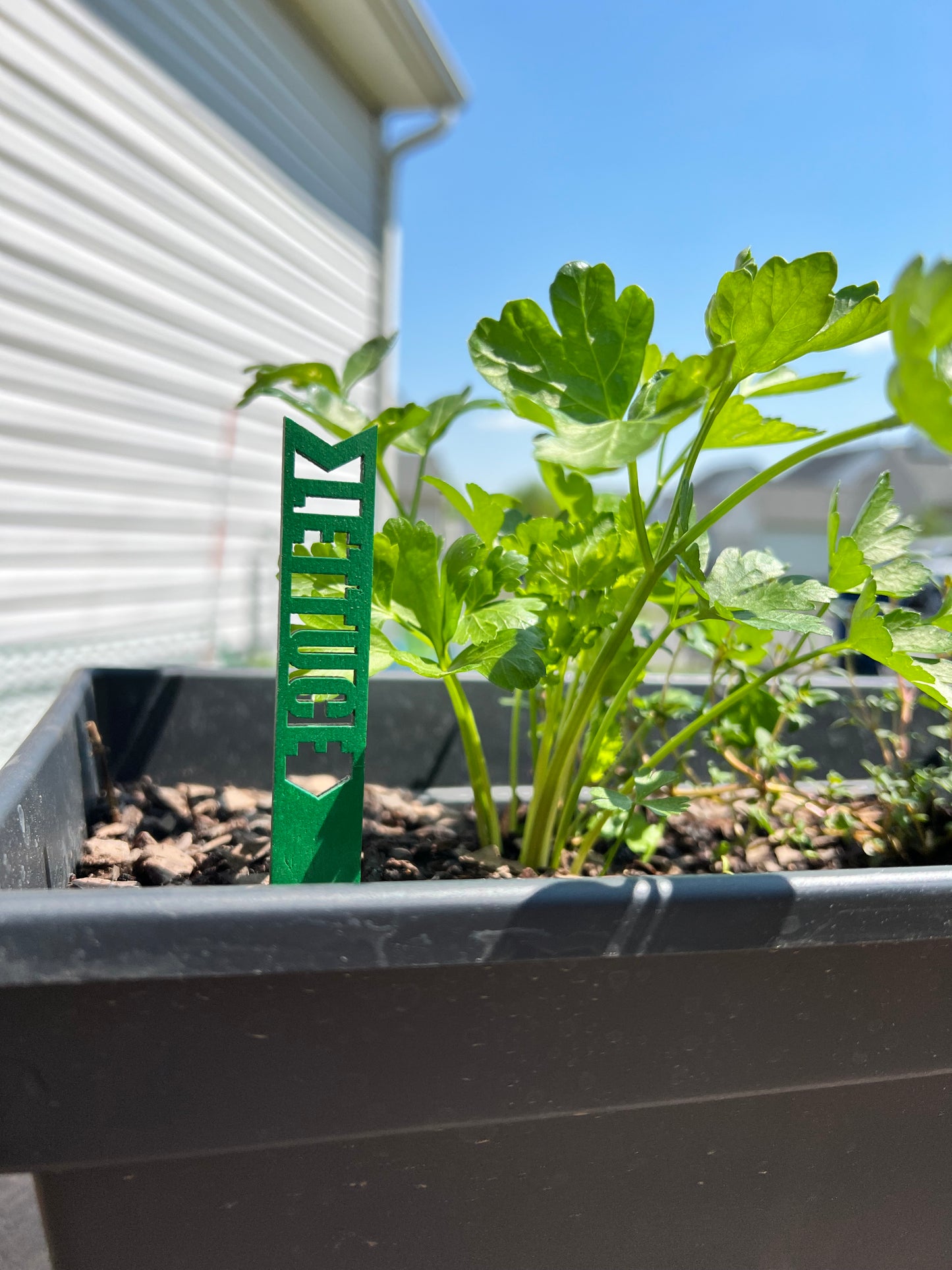 Vegetable Garden Stakes