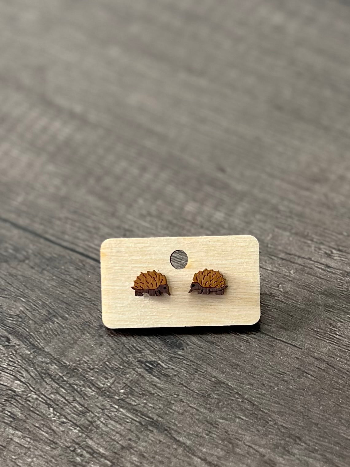 Echidna Studs