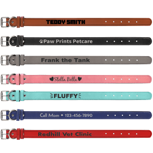 Dog Collar